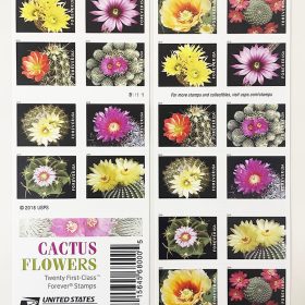 Cactus Flowers Forever First Class Postage Stamps