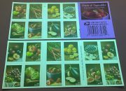 Fruit of vegetables Forever First Class Postage Stamps - Image 2