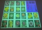 Cactus Flowers Forever First Class Postage Stamps - Image 2