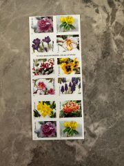 USPS Snowy Beauty Bloom Forever First Class Postage Stamps - Image 3